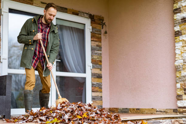 Attic Cleanout Services in Maplewood, MO